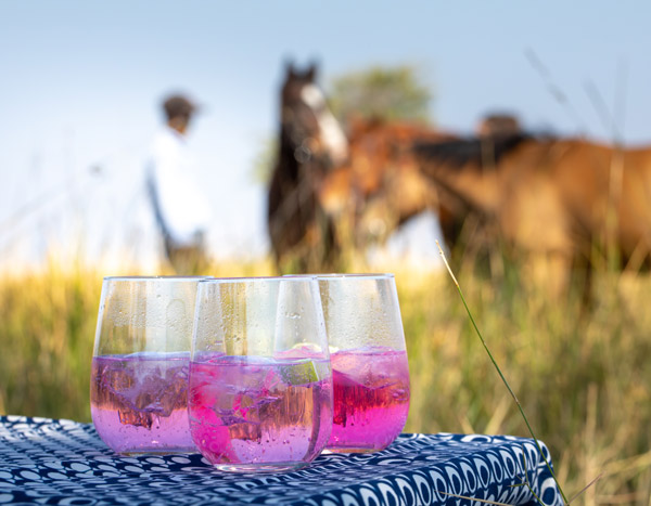 gin and tonic on safari
